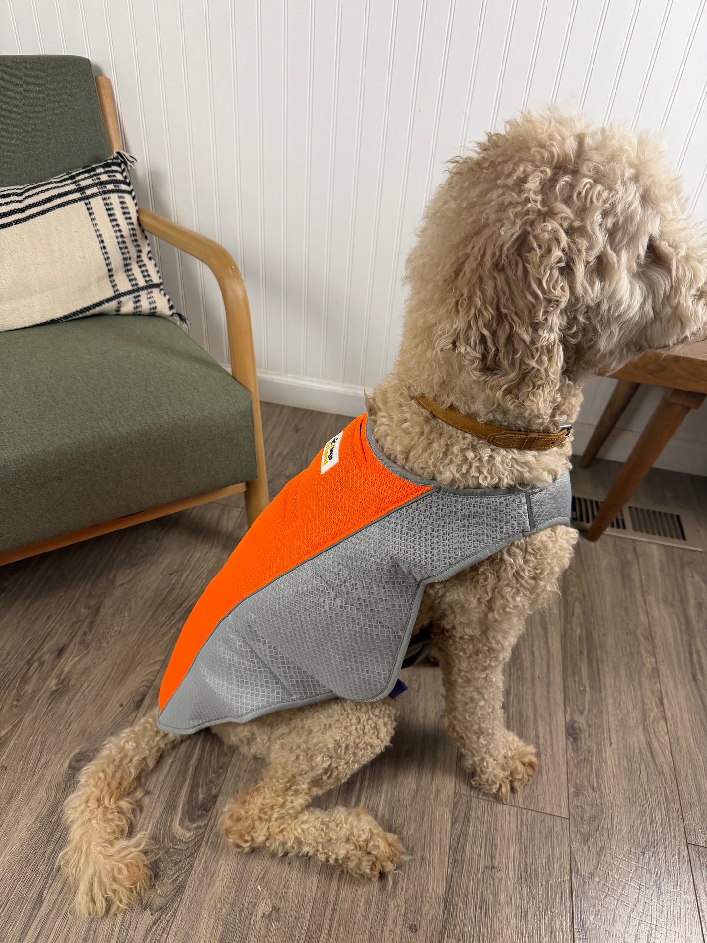 ⚠️ Dogs Can Overheat in Minutes During Summer Walks Keep Them Cool, Safe & Active — Even in Extreme Heat)