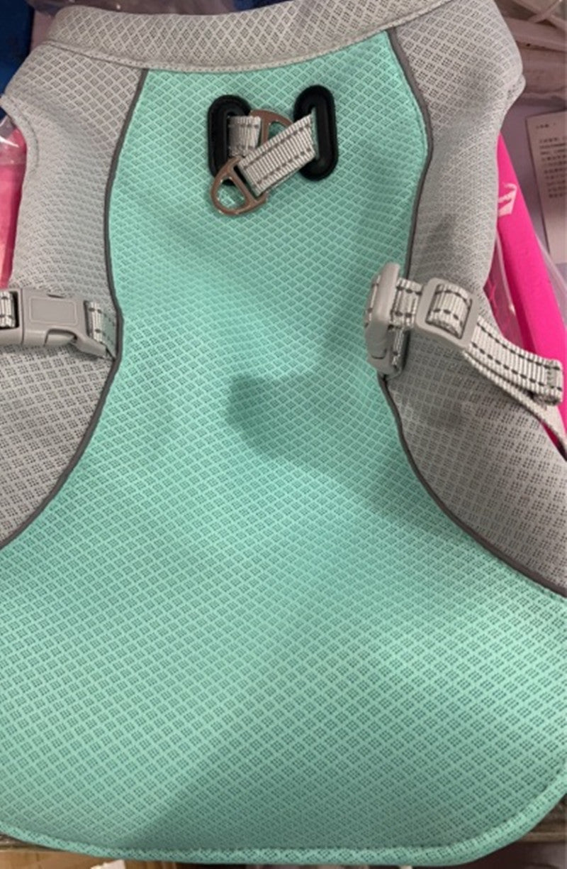 ⚠️ Dogs Can Overheat in Minutes During Summer Walks Keep Them Cool, Safe & Active — Even in Extreme Heat)